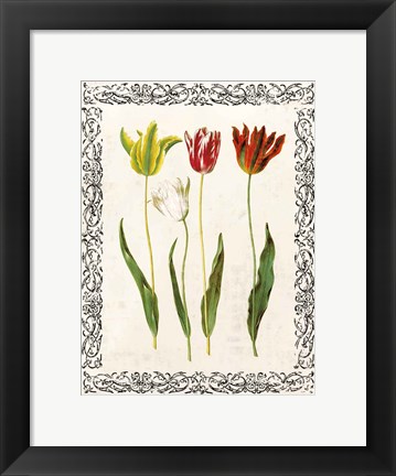 Framed Spring Blooms I Print