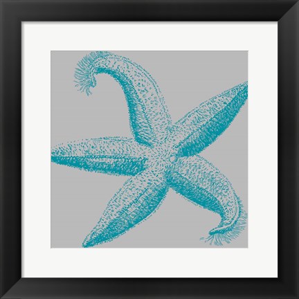 Framed Sea Stars I Print