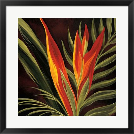 Framed Birds of Paradise II Print