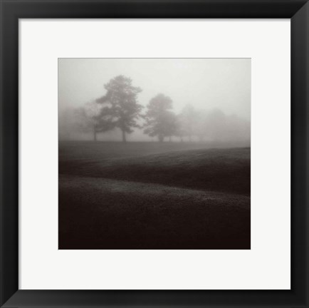 Framed Fog Tree Study II Print