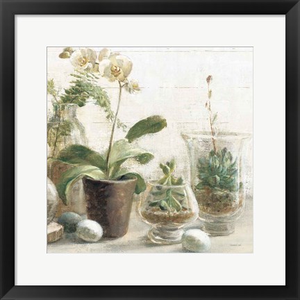 Framed Greenhouse Orchids on Shiplap III Print