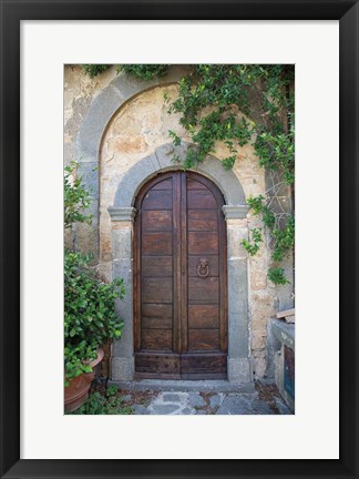 Framed Venice Doorway Print