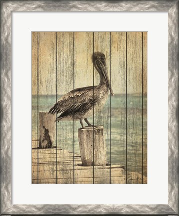 Framed Vintage Pelican I Print