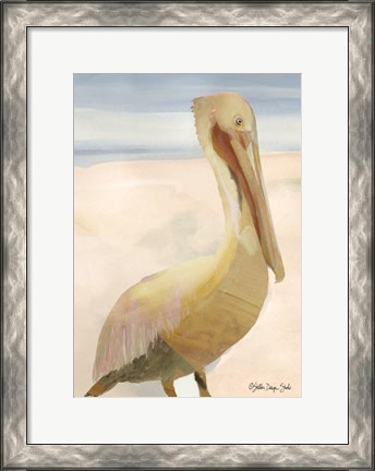 Framed Pelican 1 Print