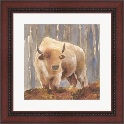 Framed White Buffalo Print