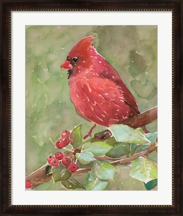 Framed Cardinal 2 Print