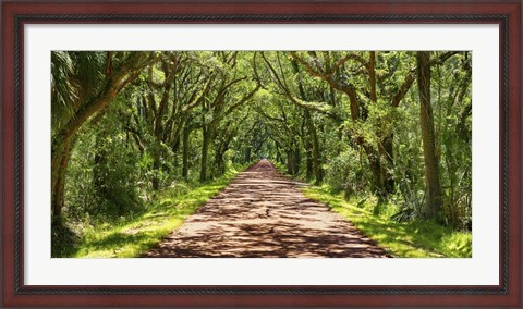Framed Country Road Photo VII Print