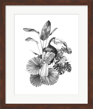 Framed Toucan Toile II Print