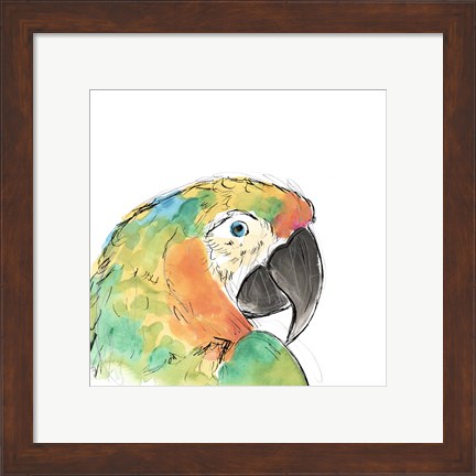 Framed Tropical Bird Portrait IV Print