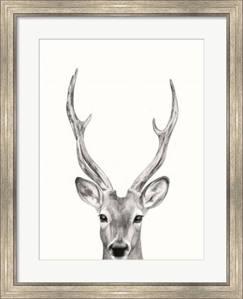 Framed Animal Mug IV Print