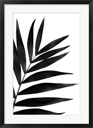 Framed Black Palms I Print