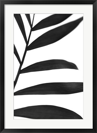 Framed Black Palms V Print