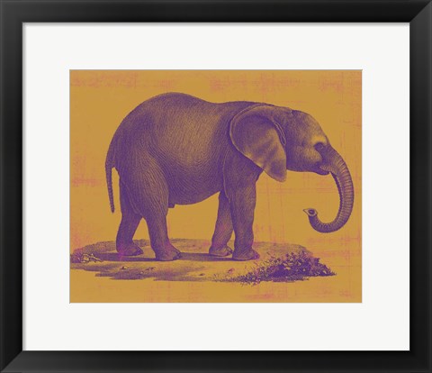 Framed Safari Pop I Print