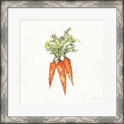 Framed Veggie Market V Carrots Print