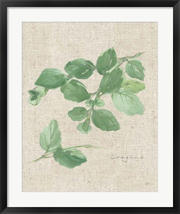 Framed Oregano on Burlap Print