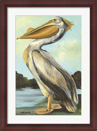 Framed Grand Pelican Print