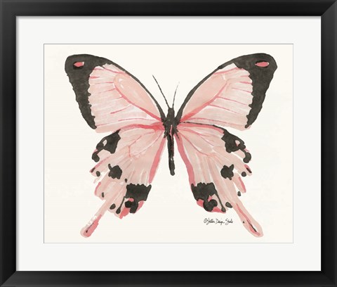 Framed Butterfly 1 Print