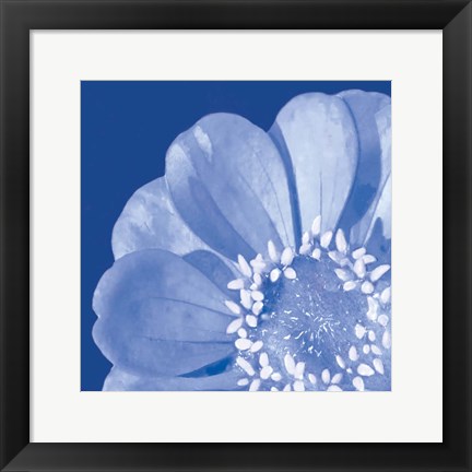 Framed Flower Pop blue I Print