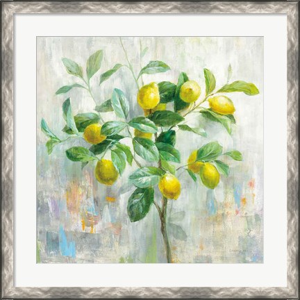Framed Lemon Branch Print