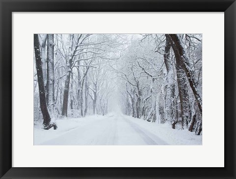 Framed Going Home Print