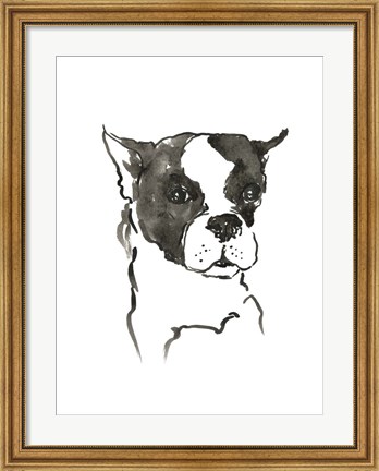 Framed Dog V Print