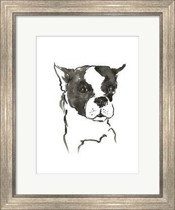 Framed Dog V Print