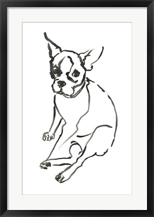 Framed Dog VI Print