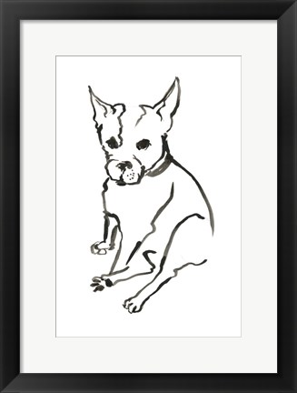 Framed Dog VIII Print