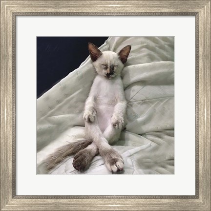 Framed Cat Yoga II Print