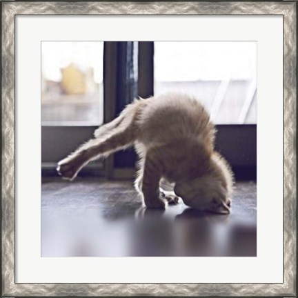 Framed Cat Yoga X Print