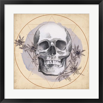 Framed Skull Thistle I Print