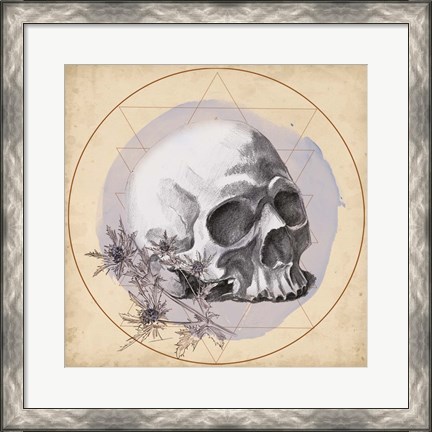 Framed Skull Thistle II Print