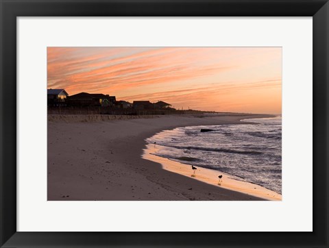 Framed Alabama, Gulf Shores, Beach, shore birds Print