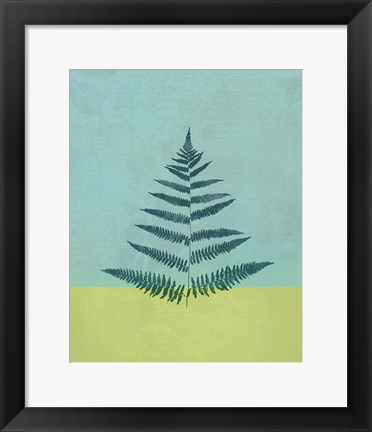 Framed Aqua Fern Print