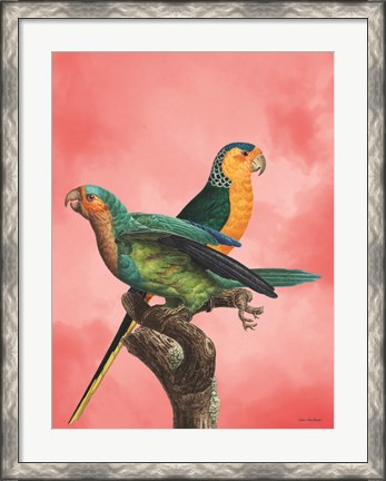 Framed Birds and the Pink Sky I Print