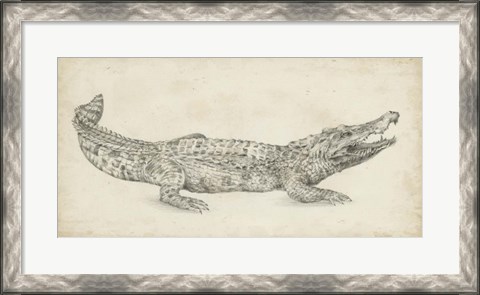Framed Crocodile Sketch Print