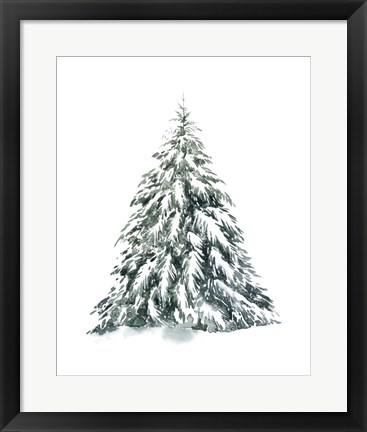 Framed Blue Spruce I Print