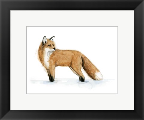Framed Snow Fox II Print