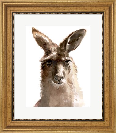 Framed Kangaroo Portrait II Print