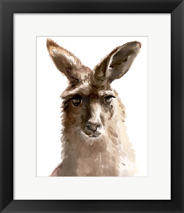 Framed Kangaroo Portrait II Print