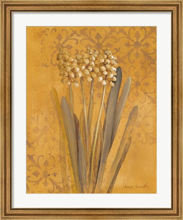 Framed Hyacinth II Print