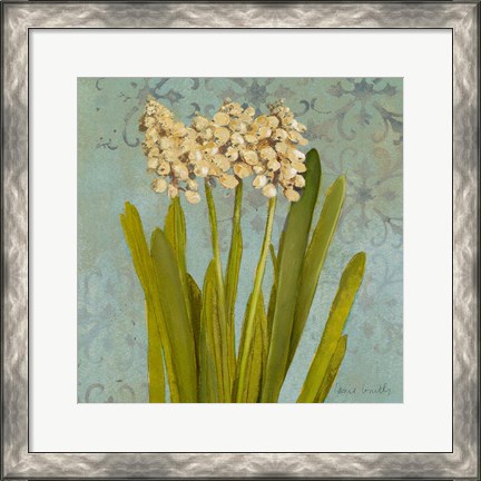 Framed Hyacinth on Teal II Print