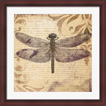 Framed Dragonfly Print