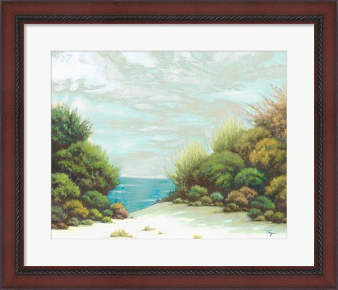 Framed Seashore II Print