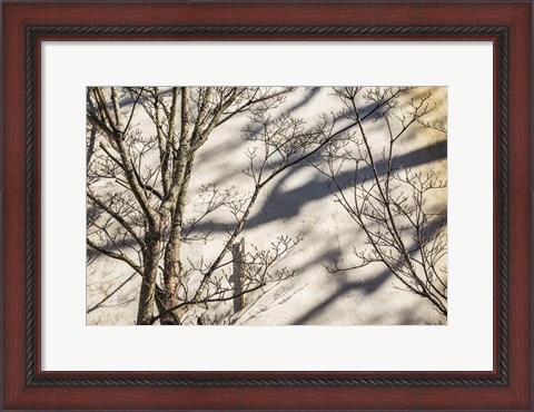 Framed Wall Detail, Nantucket Island Print