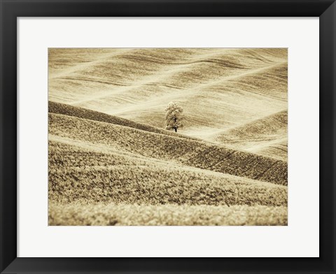 Framed Infrared of Lone Tree in Wheat Field 2 Print