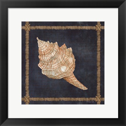 Framed Seashell on Navy IV Print