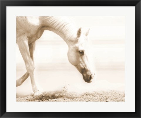 Framed Trail Horse Sepia Print