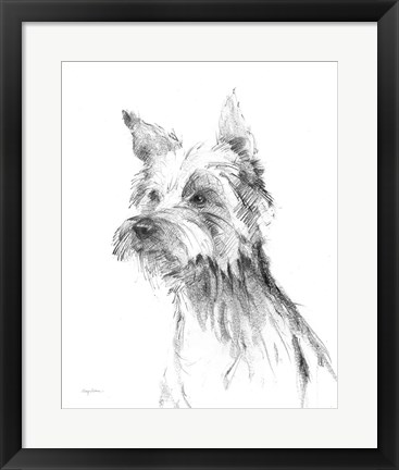 Framed Yorkshire Terrier Sketch Print