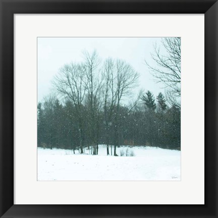 Framed Snowfall Print